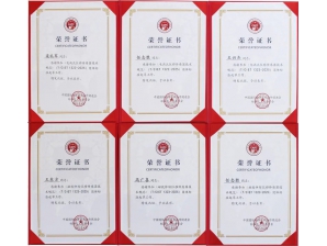 <b>磁致伸縮位移傳感器標準起草榮譽證書</b>