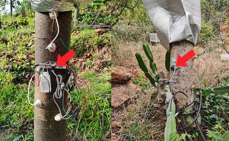 直線位移傳感器植物生長監(jiān)測應用