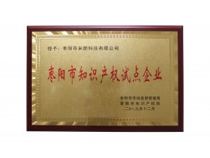 <b>棗陽市知識產(chǎn)權(quán)試點企業(yè)</b>